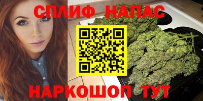 амф Славгород