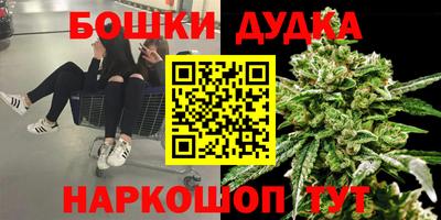 амф Славгород