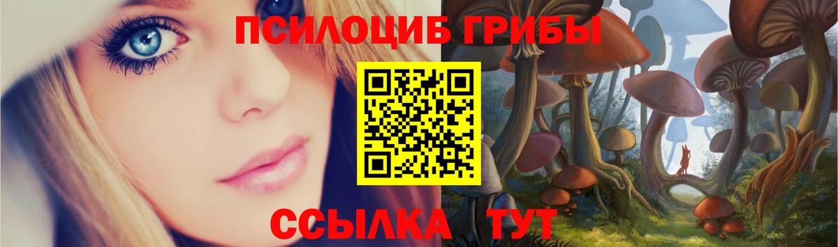 Псилоцибиновые грибы GOLDEN TEACHER Брянск